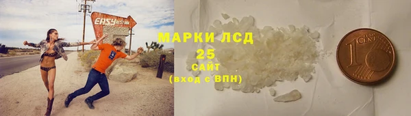 ГАЛЛЮЦИНОГЕННЫЕ ГРИБЫ Алзамай
