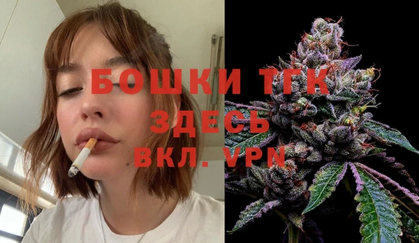 индика Алексеевка