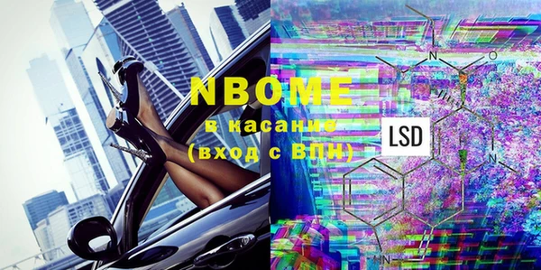 ГАЛЛЮЦИНОГЕННЫЕ ГРИБЫ Алзамай
