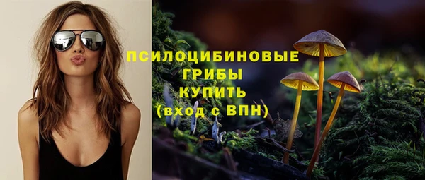 ГАЛЛЮЦИНОГЕННЫЕ ГРИБЫ Алзамай