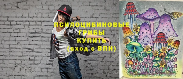 ГАЛЛЮЦИНОГЕННЫЕ ГРИБЫ Алзамай